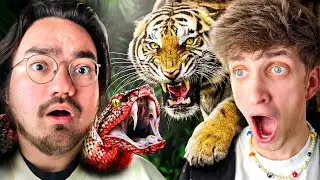 CLOOLESS REACT TO HOW TO SURVIVE EVERY APEX PREDATOR