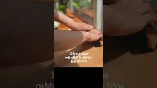 오이지 새우튀김김밥