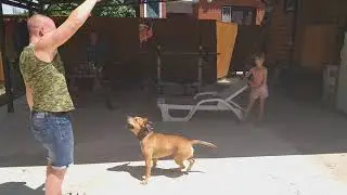 Гости из Кирова II (Тим Тимыч)