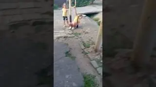 Встретила @лк@шей