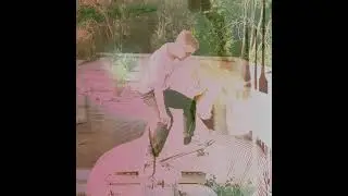 Zoo Brother - Bullseye