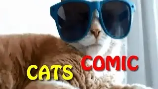 Comic Cats
