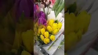 Тюльпаны.Магнит. К дню влюблённых! 