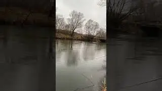 В поисках рыбы 🐟