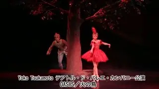 Yoko Tsukamoto テアトル・ド・バレエ・カンパニー公演　OASIS／火の鳥 （あいちトリエンナーレ2013祝祭ウィーク事業）[Network2010]