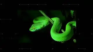 [FREE] Lil Baby x Gunna Type Beat - 