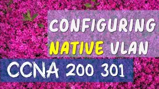 Configuring native vlan