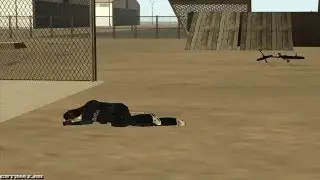 1981 [CatBmx14]