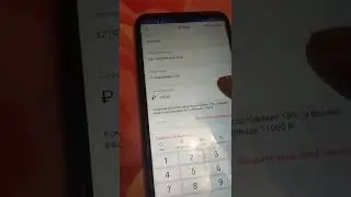 11 ноября 2022 г.