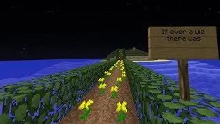 2b2t - Flower Trail