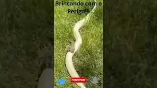 Brincando com o Perigo!!!