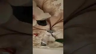 Андижон Натяжные потолок