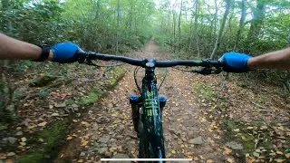 What’s it like Mountain Biking in the George Washington National Forest?!?