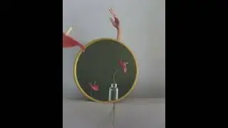 viva foto