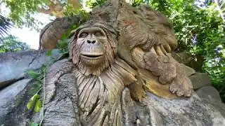 Animal kingdom