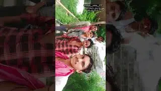 #new gujarati whatsapp status 2024 2025