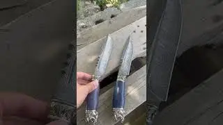 Быки