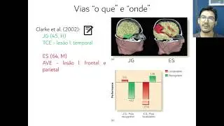 Aula 14 - Organização perceptual e neural da audição (parte 2)