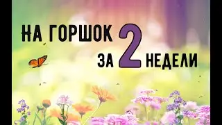 Potty Training in 2 Weeks. How and When to Train a Child? Simple and Effective! Twins