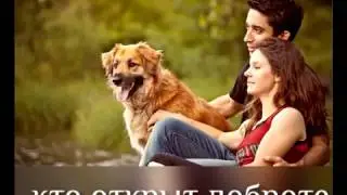 Социальный ролик 