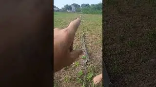 как правильно установить раколовку на глубине#ловим рака#