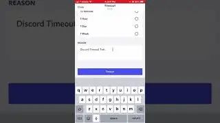 Discord Timeout Test (Premine)