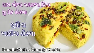 ઢોકળાની નવીન વેરાયટી, દાળ ચોખા પલાળ્યા વિના ફટાફટ બનીને તૈયાર | Unique Dhokla Recipe | Dhokla