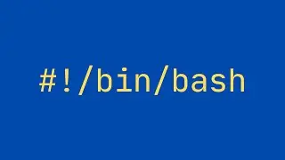Bash Scripting 