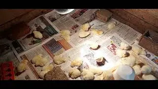 23 июня 2024 г.