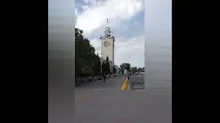 Коты  Крыма,   Половинка  Профессорского  Уголка