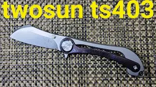 TwoSun TS403,    Collector knife only or... is it a GREAT EDC??!! This one WILL SURPRISE YOU!!
