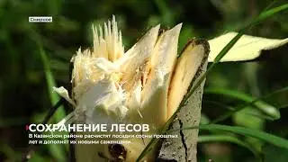 Информационная программа "Алабуга" от 23 июля 2024 года