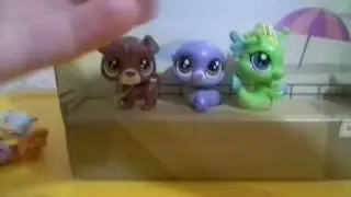Мои новые петшопы