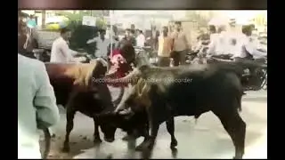 #jhonseena