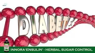 INNORA ENZULIN HERBAL SUGAR CONTROL EXPLAINED IN ENGLISH | DR.V.RAMASUNDRAM | INNORA