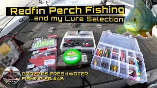 Redfin Perch Fishing | My Lures Selection at Lake Eppalock