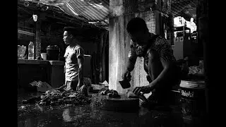 Bangkok fish vendor