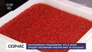 Кто и зачем продает москвичам красную икру за полцены   теле
