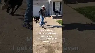 All dogs go to Heaven 