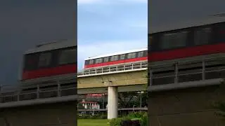 Nature spots around Singapore MRT stations