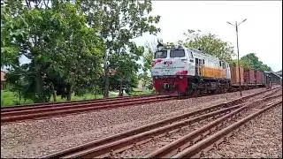 Hunting KA Barang ft.lokomotof CC206 13 60