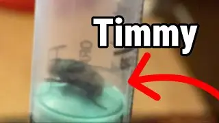 What happened to Timmy?!?!