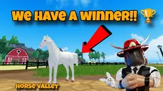 Announcement of winner | Gen. 6 Camarillo horse giveaway