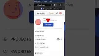 Easily Change Your Password on Freepik in 3 Simple Steps • How to change Freepik account password