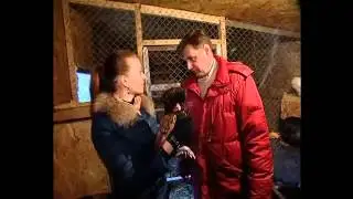 Разведение кур