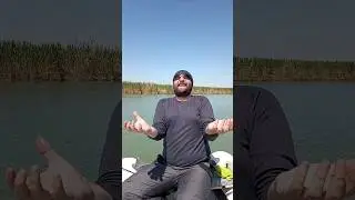 Большие приманки большая рыба Маныч может трейлер 