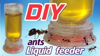 Recycling plastic bottles for a DIY Liquid Feeder | D colony