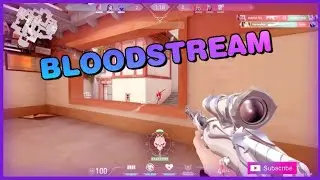 BLOODSTREAM🩸
