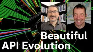 Beautiful API Evolution: A Closer Look at API Versioning Histories