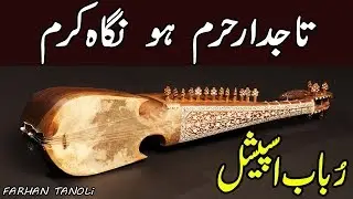 Tajdar e Haram | Rubab Special | Heart Touching instrument